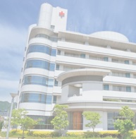 a@̉摜