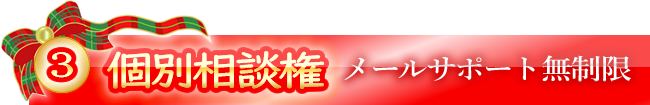 ③個別相談権（メールサポート）